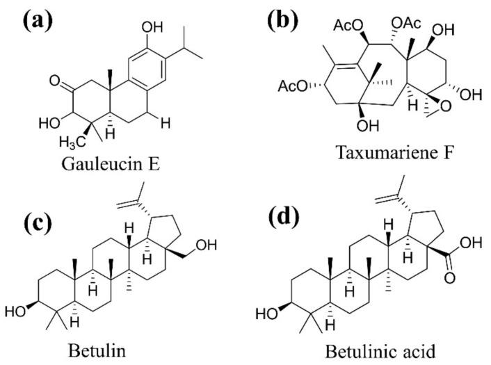 https://cdn.ncbi.nlm.nih.gov/pmc/blobs/994a/9612090/dd2bd1b81d65/plants-11-02722-g005.jpg