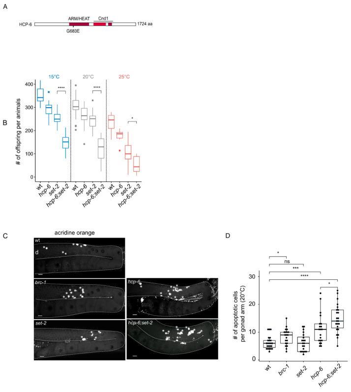 https://cdn.ncbi.nlm.nih.gov/pmc/blobs/994b/7565041/df2b25c5b4f5/cells-09-02049-g003.jpg