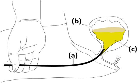 https://cdn.ncbi.nlm.nih.gov/pmc/blobs/994d/11164700/4d3671a90c8b/41598_2024_64395_Fig4_HTML.jpg