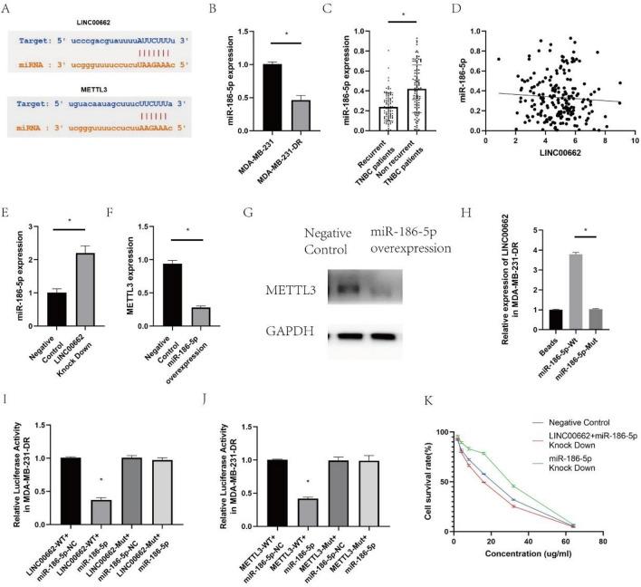 https://cdn.ncbi.nlm.nih.gov/pmc/blobs/994e/9537189/8b0e913cc1d5/41598_2022_20477_Fig4_HTML.jpg
