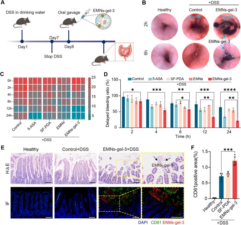 https://cdn.ncbi.nlm.nih.gov/pmc/blobs/9950/11399697/0fa084314ced/gr5.jpg