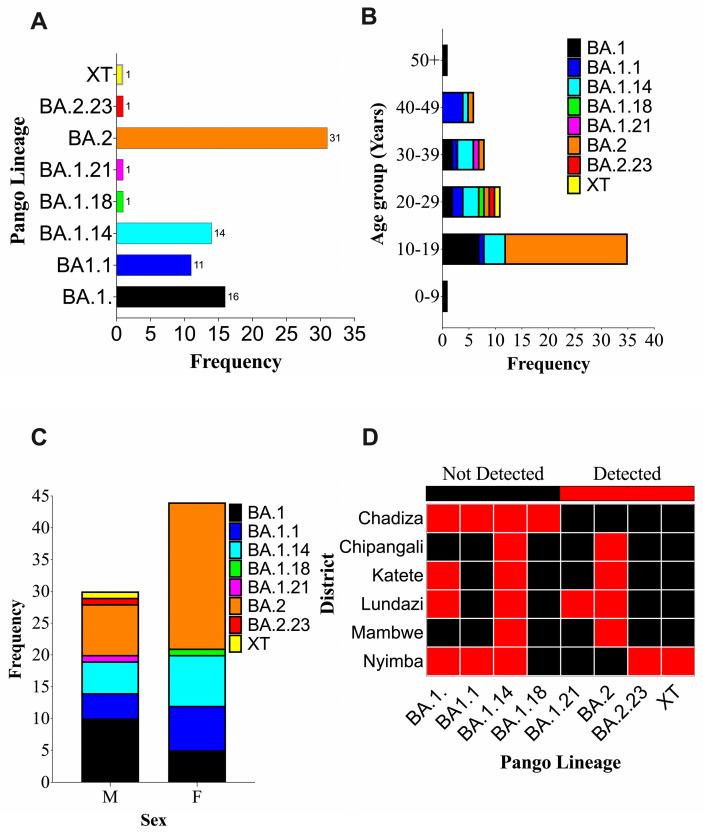 https://cdn.ncbi.nlm.nih.gov/pmc/blobs/9951/11203853/1ab8a0e40f4b/ijms-25-06338-g007.jpg