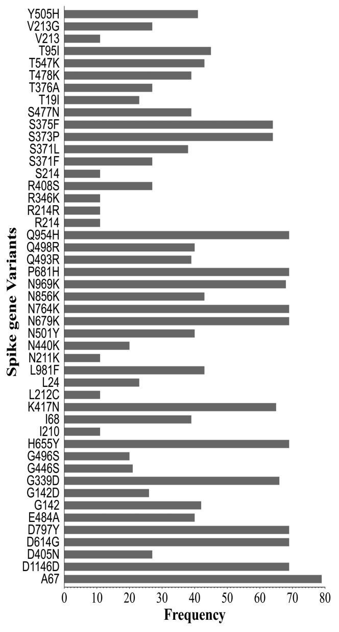 https://cdn.ncbi.nlm.nih.gov/pmc/blobs/9951/11203853/adec20f4f3d3/ijms-25-06338-g004.jpg
