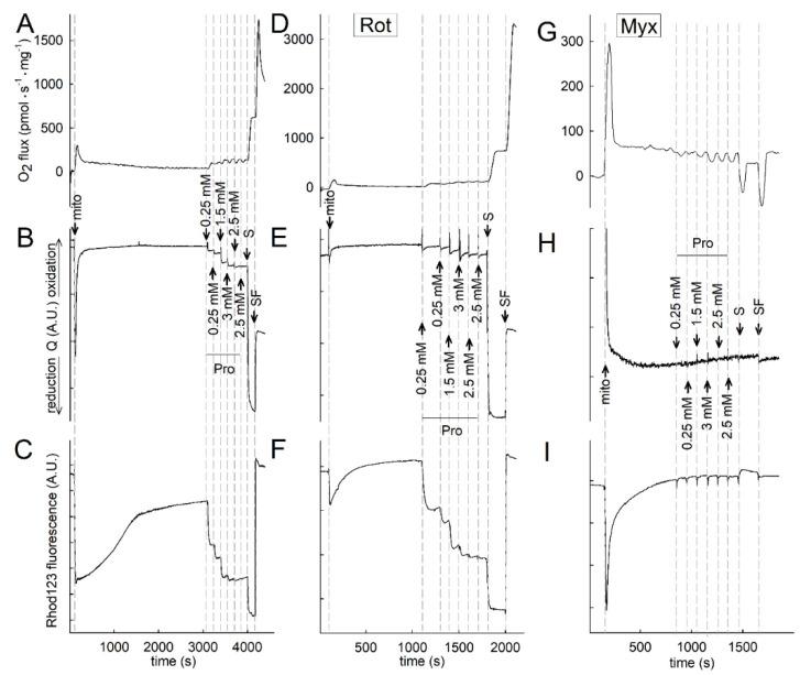 https://cdn.ncbi.nlm.nih.gov/pmc/blobs/9951/9106064/4c45d9b3f967/ijms-23-05111-g003.jpg