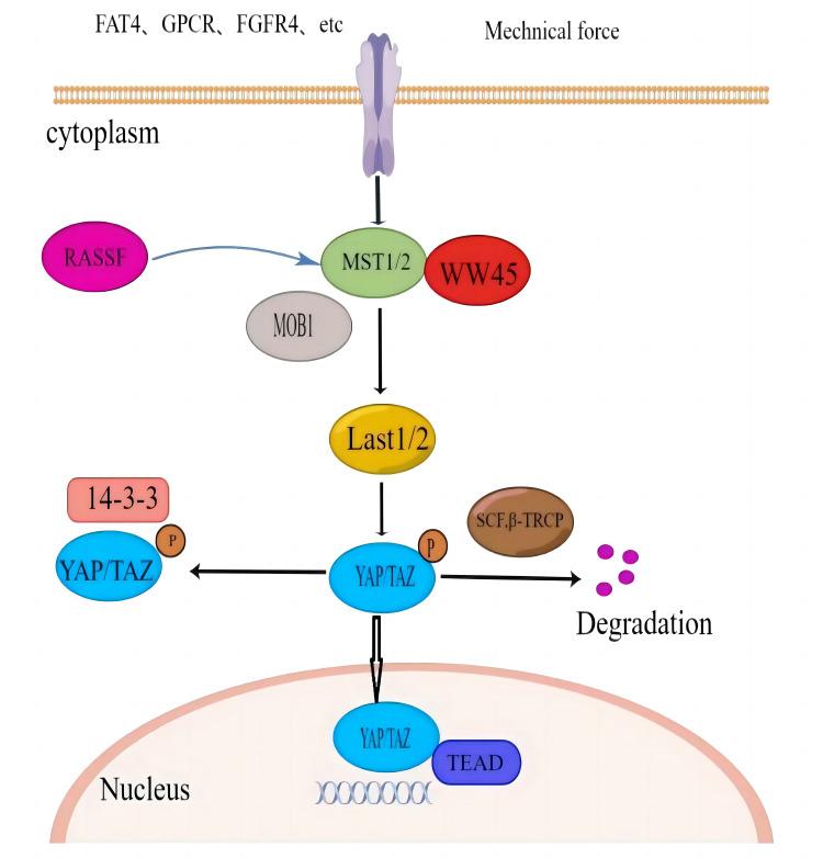 https://cdn.ncbi.nlm.nih.gov/pmc/blobs/9953/10045326/65e756b284d4/JIR-16-1283-g0001.jpg