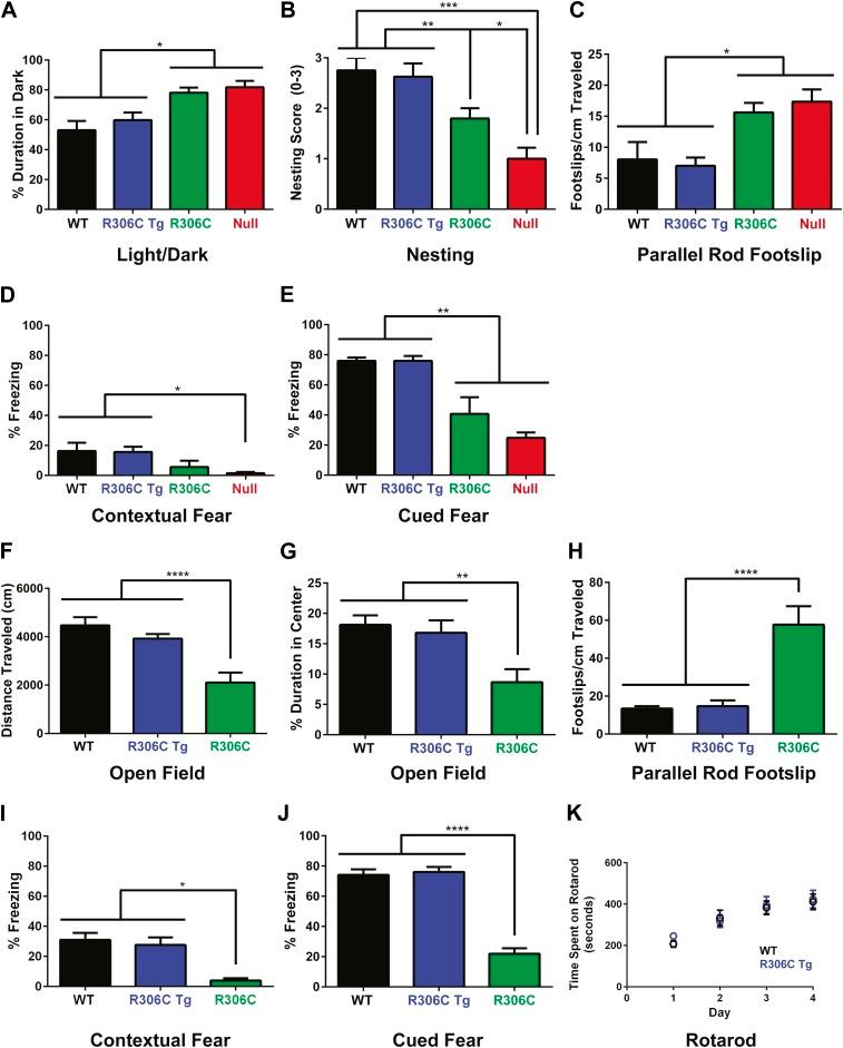 https://cdn.ncbi.nlm.nih.gov/pmc/blobs/9954/4102243/089292d73d27/elife02676f005.jpg