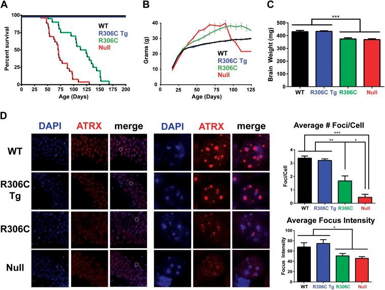 https://cdn.ncbi.nlm.nih.gov/pmc/blobs/9954/4102243/bff03129ce64/elife02676f004.jpg