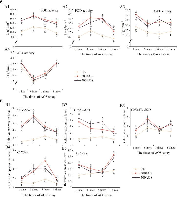 https://cdn.ncbi.nlm.nih.gov/pmc/blobs/9954/9923110/70b371563bcf/fpls-13-1108848-g003.jpg