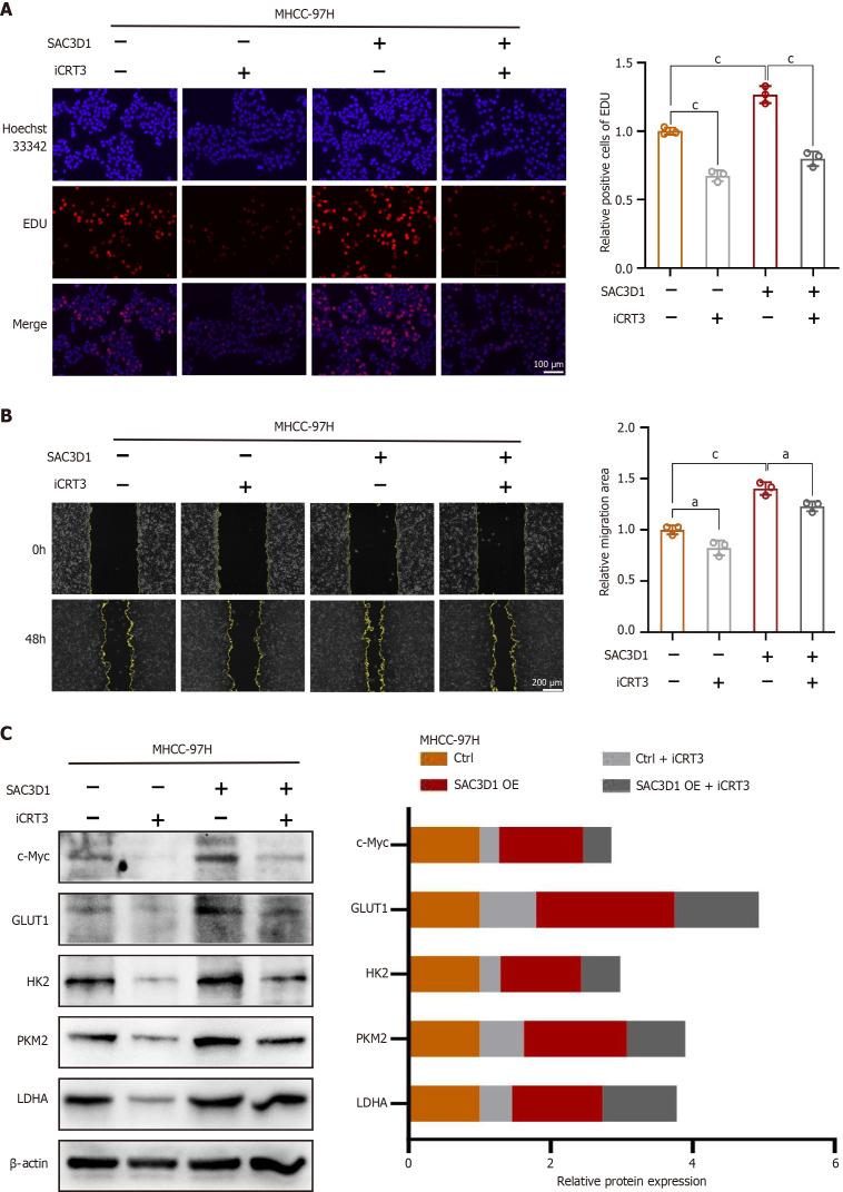 https://cdn.ncbi.nlm.nih.gov/pmc/blobs/9958/12278251/6d50362267b2/wjgo-17-7-107971-g006.jpg