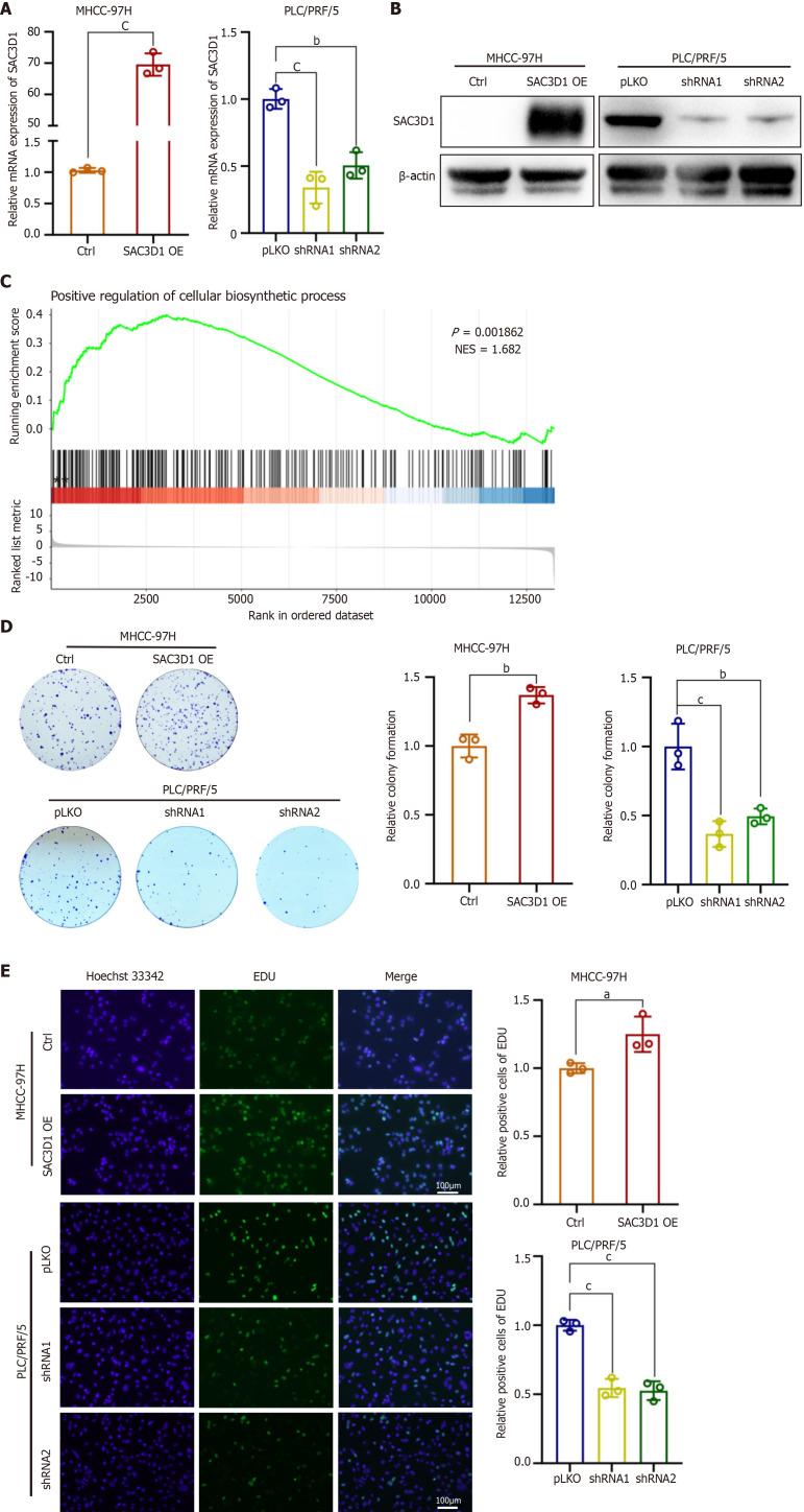 https://cdn.ncbi.nlm.nih.gov/pmc/blobs/9958/12278251/75f3709e63ad/wjgo-17-7-107971-g002.jpg