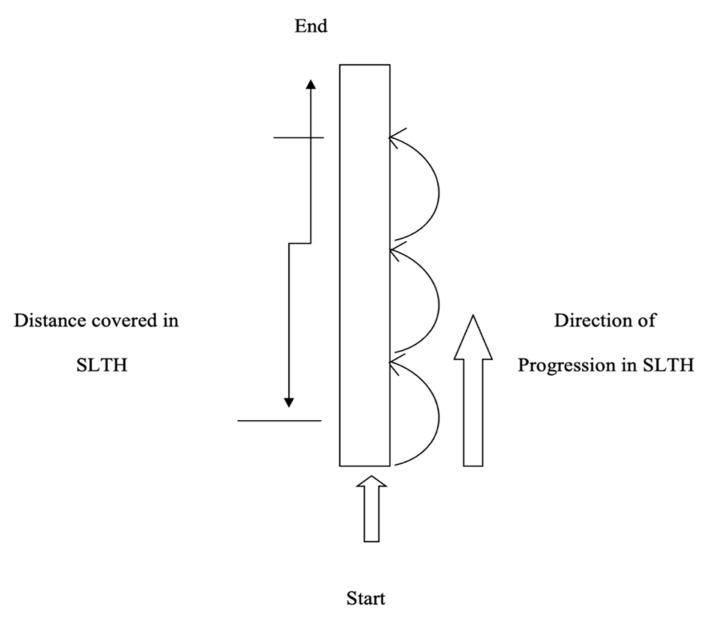 https://cdn.ncbi.nlm.nih.gov/pmc/blobs/9958/8295600/09e65a2277a2/ijerph-18-06702-g003.jpg