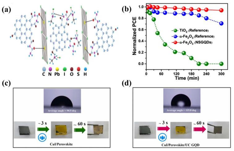 https://cdn.ncbi.nlm.nih.gov/pmc/blobs/995a/9228081/747c5b4a2790/nanomaterials-12-02102-g004.jpg