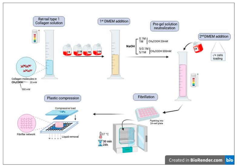 https://cdn.ncbi.nlm.nih.gov/pmc/blobs/995b/10887598/3d698250a0e8/gels-10-00130-g001.jpg