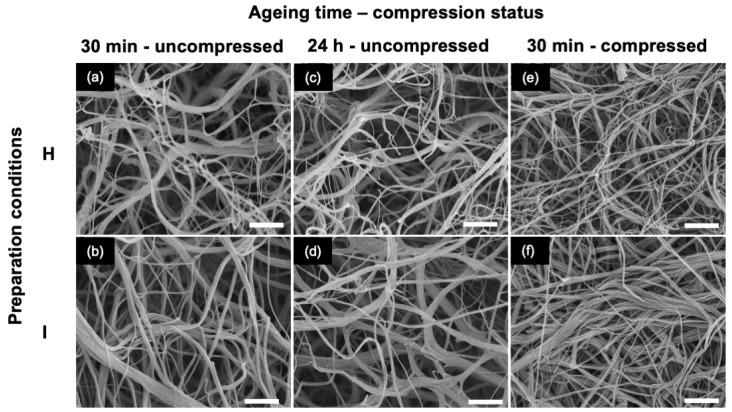 https://cdn.ncbi.nlm.nih.gov/pmc/blobs/995b/10887598/56c988080881/gels-10-00130-g003.jpg