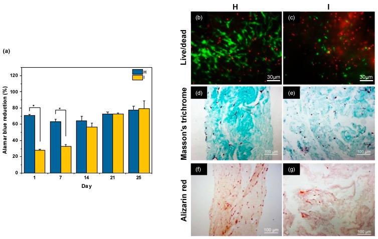 https://cdn.ncbi.nlm.nih.gov/pmc/blobs/995b/10887598/582a0a3d9b89/gels-10-00130-g005.jpg