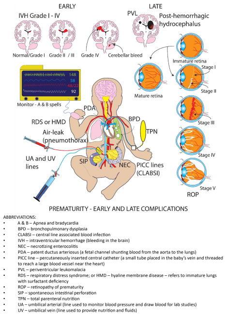 https://cdn.ncbi.nlm.nih.gov/pmc/blobs/995d/5711476/a4ae0b8388f0/nihms863895f1.jpg