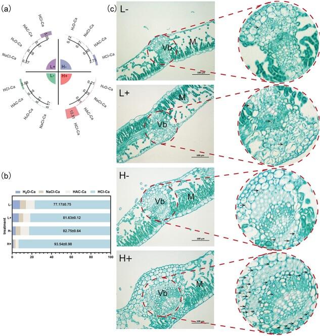https://cdn.ncbi.nlm.nih.gov/pmc/blobs/995e/11450213/4d8a7f89bd3f/uhae208f3.jpg