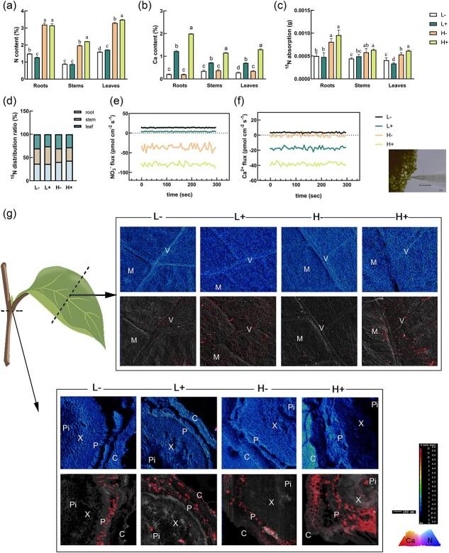 https://cdn.ncbi.nlm.nih.gov/pmc/blobs/995e/11450213/5e2b57f5ecdc/uhae208f2.jpg
