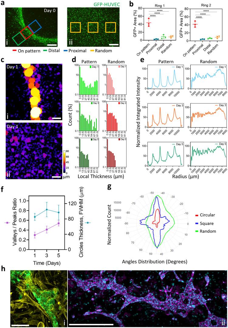 https://cdn.ncbi.nlm.nih.gov/pmc/blobs/9963/11001772/1e7c6f5e9973/gr2.jpg