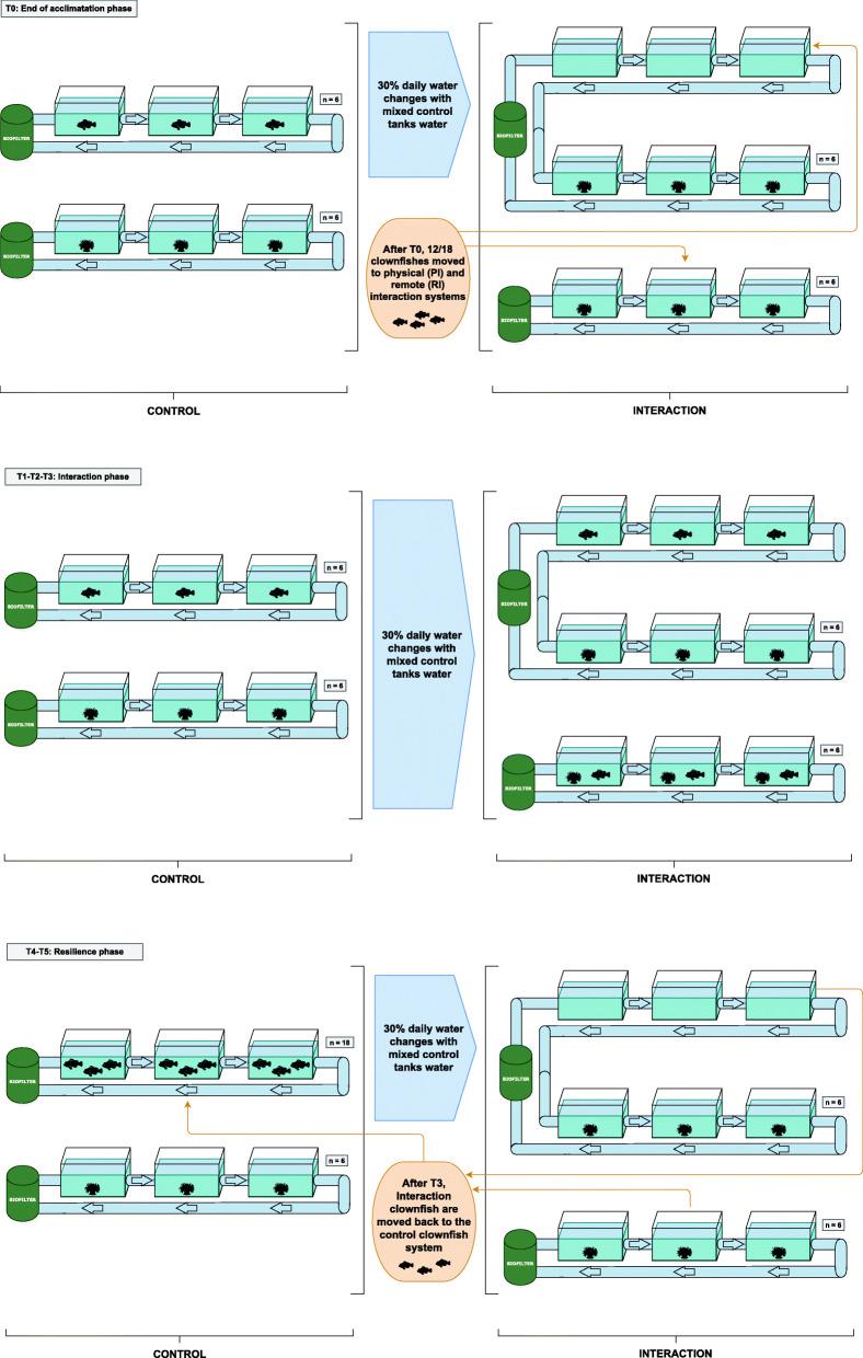 https://cdn.ncbi.nlm.nih.gov/pmc/blobs/9964/8130386/a220cfe64086/40168_2021_1058_Fig1_HTML.jpg