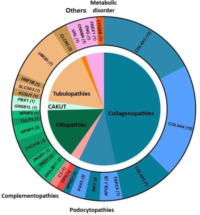 https://cdn.ncbi.nlm.nih.gov/pmc/blobs/9965/10765093/24254bcd86f0/sfad099fig2.jpg