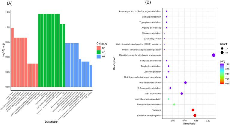 https://cdn.ncbi.nlm.nih.gov/pmc/blobs/9965/12358481/07d28aa1fa5b/fmicb-16-1603462-g010.jpg
