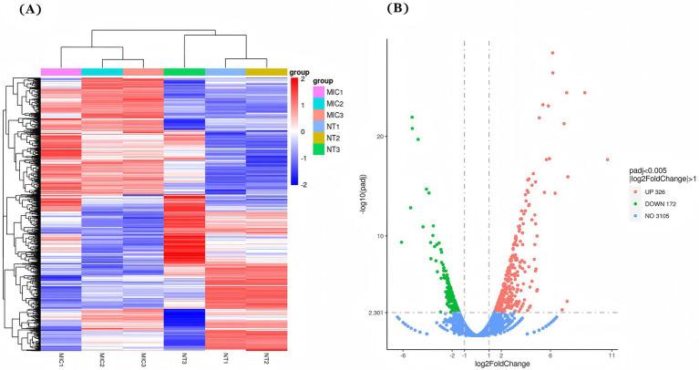 https://cdn.ncbi.nlm.nih.gov/pmc/blobs/9965/12358481/642370b1433e/fmicb-16-1603462-g008.jpg