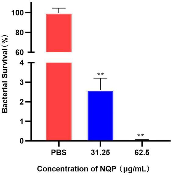 https://cdn.ncbi.nlm.nih.gov/pmc/blobs/9965/12358481/d75b95ebd57f/fmicb-16-1603462-g004.jpg