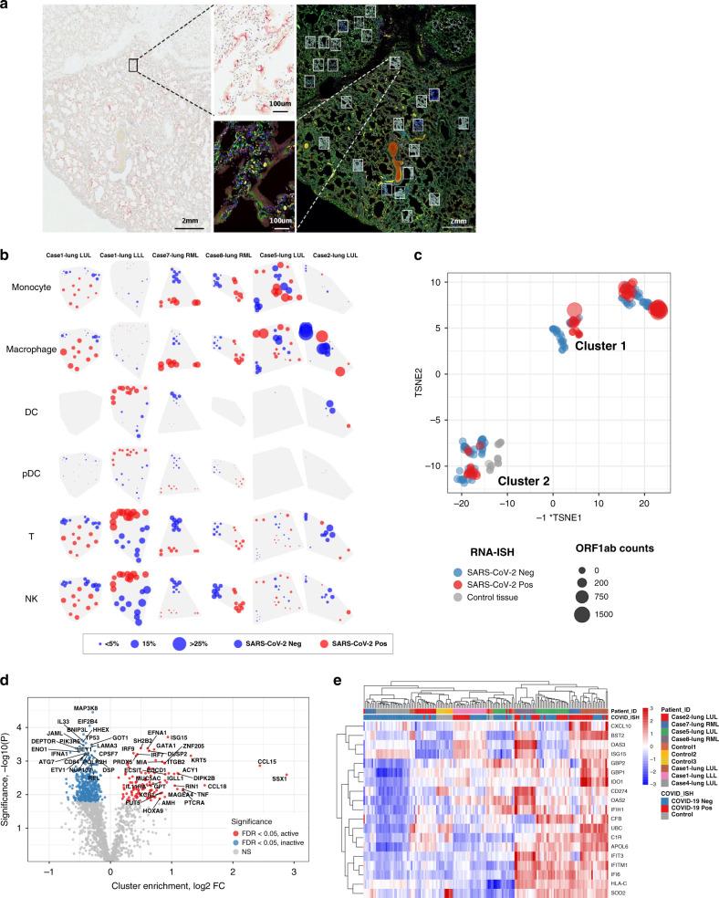 https://cdn.ncbi.nlm.nih.gov/pmc/blobs/996c/7725958/c51c920ac2f8/41467_2020_20139_Fig6_HTML.jpg