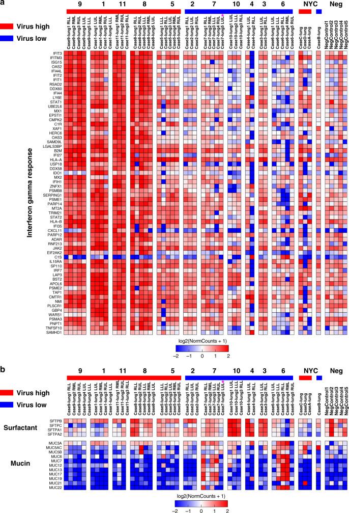 https://cdn.ncbi.nlm.nih.gov/pmc/blobs/996c/7725958/c89b60986264/41467_2020_20139_Fig3_HTML.jpg