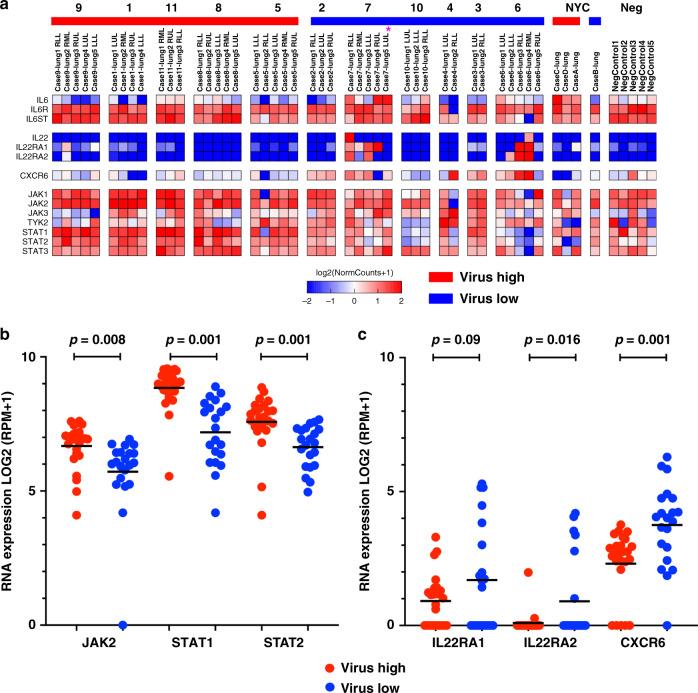 https://cdn.ncbi.nlm.nih.gov/pmc/blobs/996c/7725958/c990c47f0ab9/41467_2020_20139_Fig5_HTML.jpg