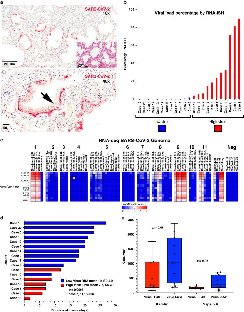https://cdn.ncbi.nlm.nih.gov/pmc/blobs/996c/7725958/fb65d2c70635/41467_2020_20139_Fig1_HTML.jpg