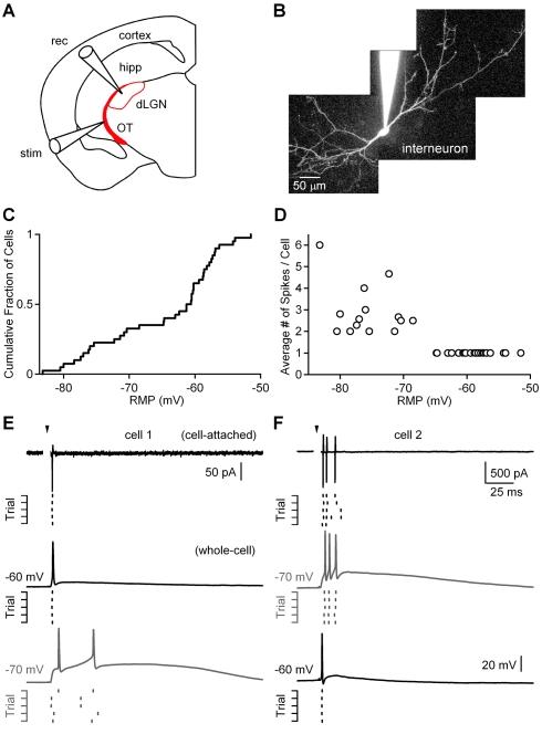 https://cdn.ncbi.nlm.nih.gov/pmc/blobs/996d/2850378/7f6ed41ec676/pbio.1000348.g001.jpg