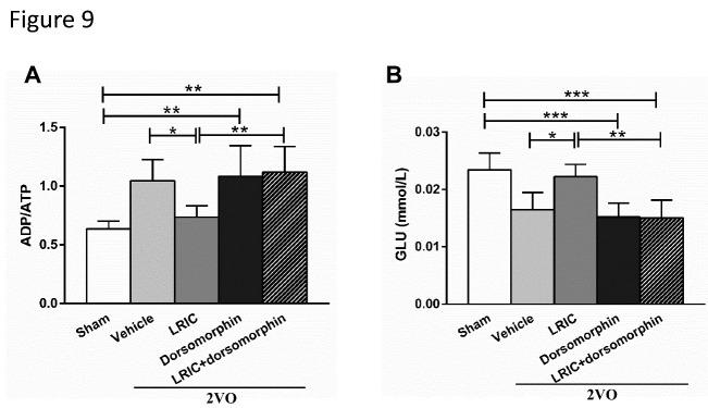 https://cdn.ncbi.nlm.nih.gov/pmc/blobs/996d/8279524/3d5dabe2ac62/ad-12-5-1197-g9.jpg