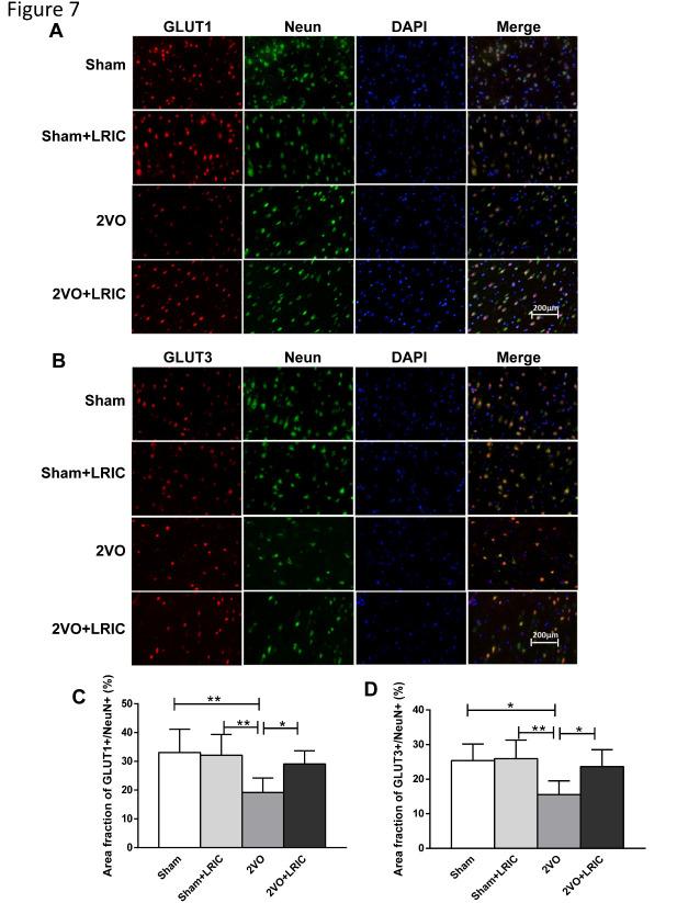 https://cdn.ncbi.nlm.nih.gov/pmc/blobs/996d/8279524/ea58d77d32bb/ad-12-5-1197-g7.jpg