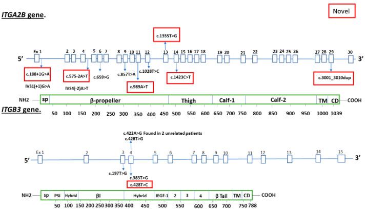 https://cdn.ncbi.nlm.nih.gov/pmc/blobs/9973/9856889/929cccaa77b9/cells-12-00213-g001.jpg