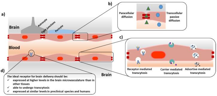 https://cdn.ncbi.nlm.nih.gov/pmc/blobs/9974/9505527/6b8a3394a4f8/pharmaceutics-14-01874-g001.jpg