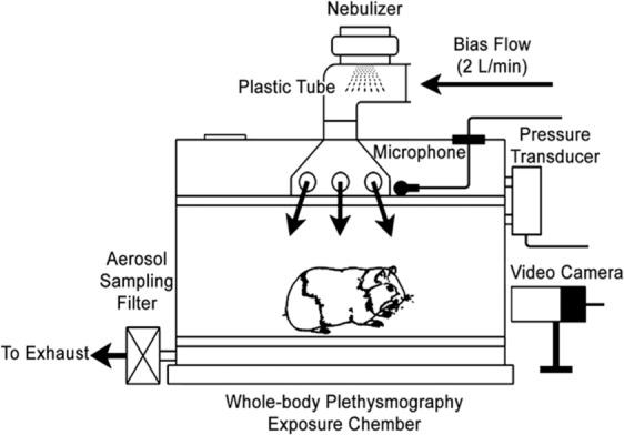 https://cdn.ncbi.nlm.nih.gov/pmc/blobs/9975/6767719/5a562a3171c2/10.1177_1753466619877960-fig1.jpg