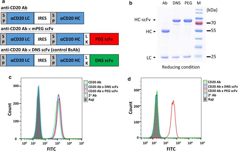 https://cdn.ncbi.nlm.nih.gov/pmc/blobs/9975/7796588/16ee6b3f1766/12951_2020_752_Fig2_HTML.jpg