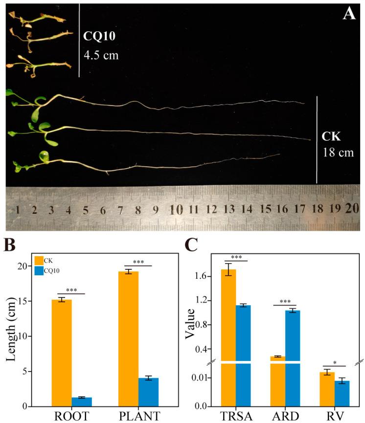 https://cdn.ncbi.nlm.nih.gov/pmc/blobs/9977/10179099/46a3c94abbe9/ijms-24-08138-g003.jpg