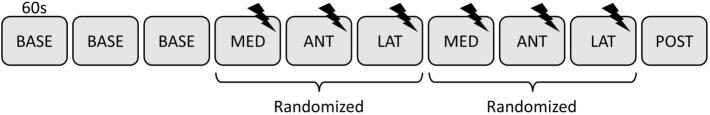 https://cdn.ncbi.nlm.nih.gov/pmc/blobs/9977/11950027/e9eab387ff14/421_2024_5648_Fig1_HTML.jpg