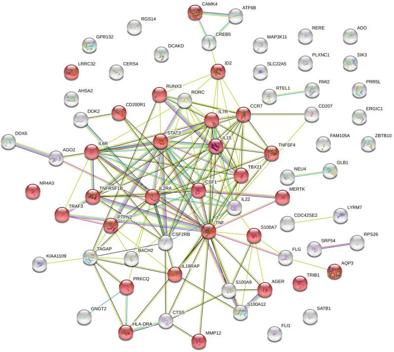 https://cdn.ncbi.nlm.nih.gov/pmc/blobs/9979/10550990/a65cc9fed3e0/41467_2023_41180_Fig4_HTML.jpg