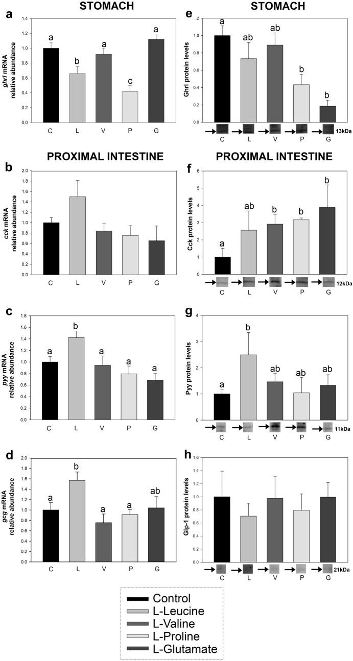 https://cdn.ncbi.nlm.nih.gov/pmc/blobs/997a/7925595/1650009a4916/41598_2021_84303_Fig5_HTML.jpg
