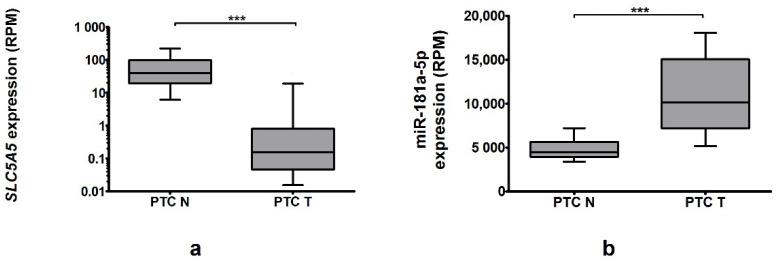 https://cdn.ncbi.nlm.nih.gov/pmc/blobs/997b/8200107/5e9e9dde7f52/ijms-22-06067-g003.jpg