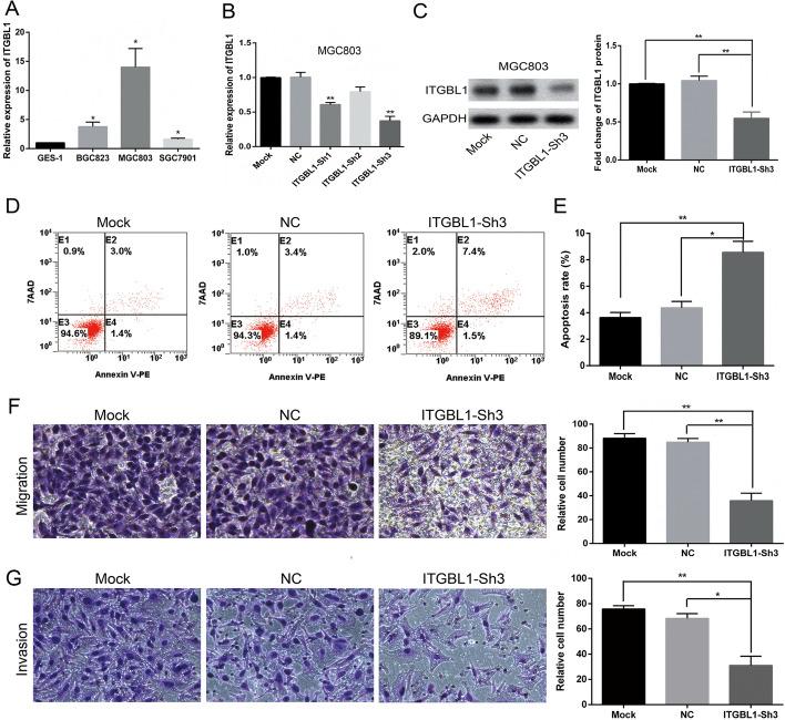 https://cdn.ncbi.nlm.nih.gov/pmc/blobs/997c/9123716/01b961c48252/12938_2022_998_Fig6_HTML.jpg