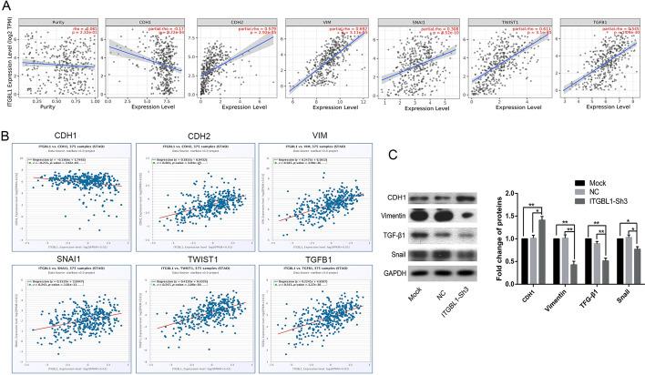 https://cdn.ncbi.nlm.nih.gov/pmc/blobs/997c/9123716/a1e99720d7f5/12938_2022_998_Fig7_HTML.jpg