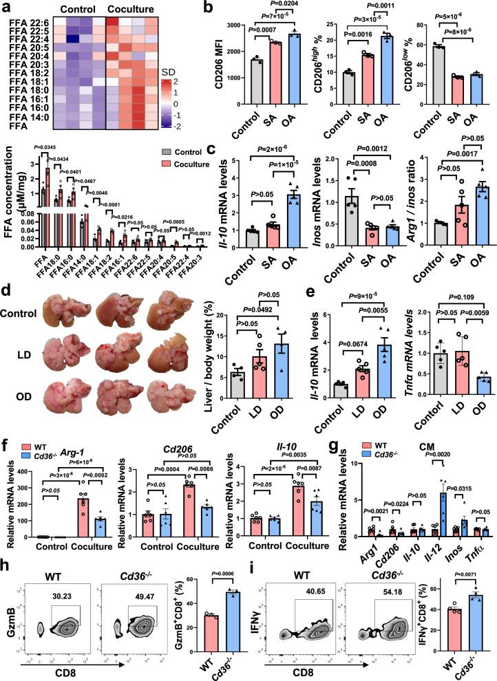https://cdn.ncbi.nlm.nih.gov/pmc/blobs/997c/9527239/007215fc1edf/41467_2022_33349_Fig6_HTML.jpg