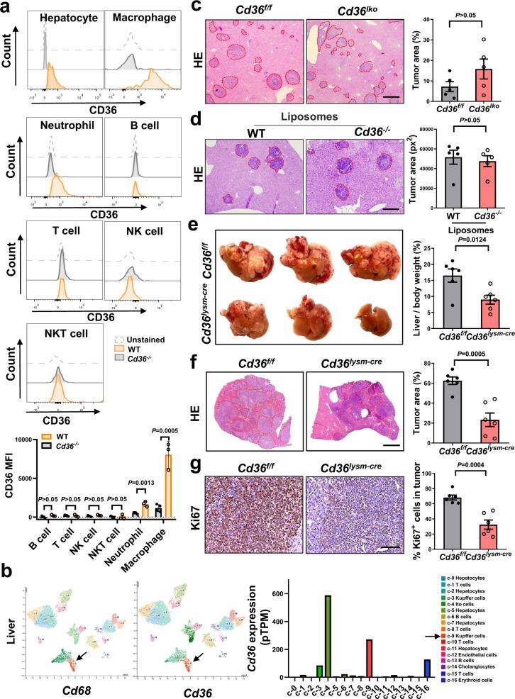 https://cdn.ncbi.nlm.nih.gov/pmc/blobs/997c/9527239/d80792d504f3/41467_2022_33349_Fig2_HTML.jpg