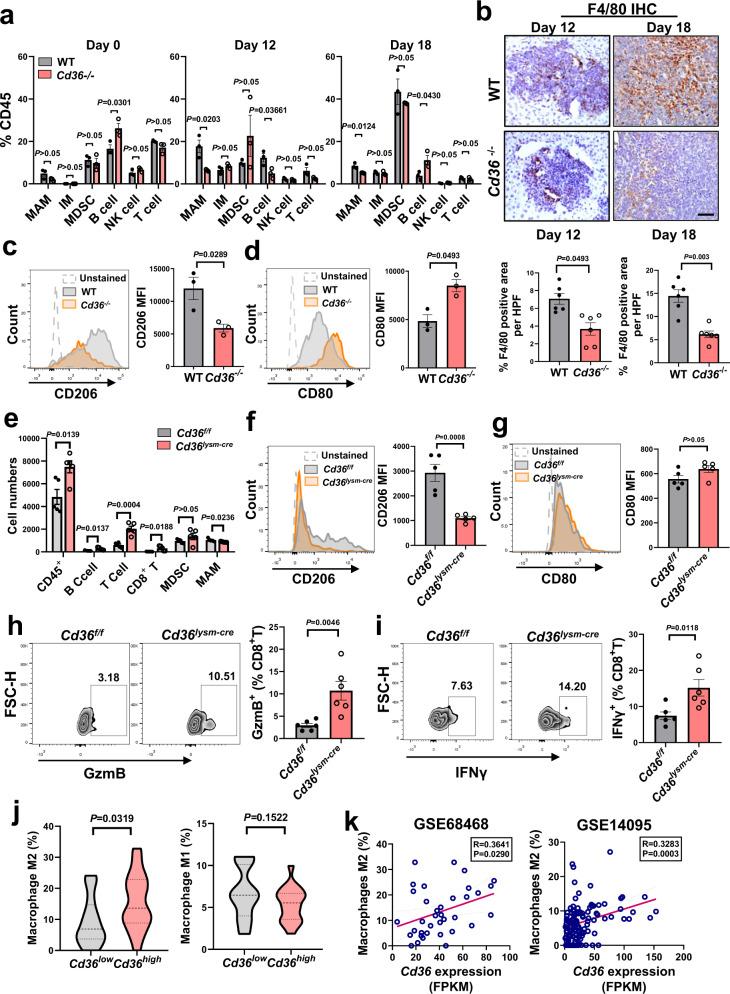 https://cdn.ncbi.nlm.nih.gov/pmc/blobs/997c/9527239/edcb84ba35ab/41467_2022_33349_Fig7_HTML.jpg