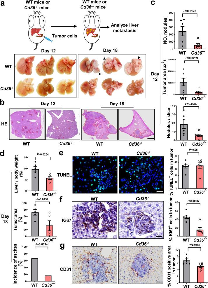 https://cdn.ncbi.nlm.nih.gov/pmc/blobs/997c/9527239/f7c694789ec0/41467_2022_33349_Fig1_HTML.jpg